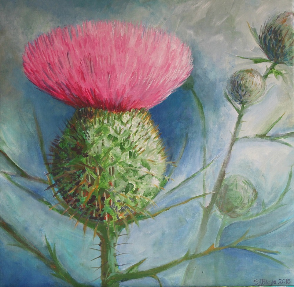 Thistle